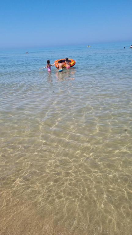 Foto 36